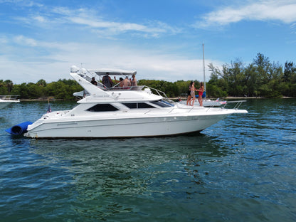 50’ Searay - Starward