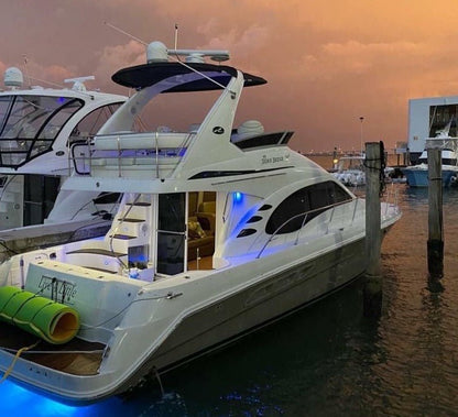 50' Searay Fly - Evilot Enterprises